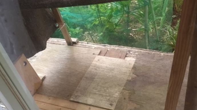 お食事処の床張り替え