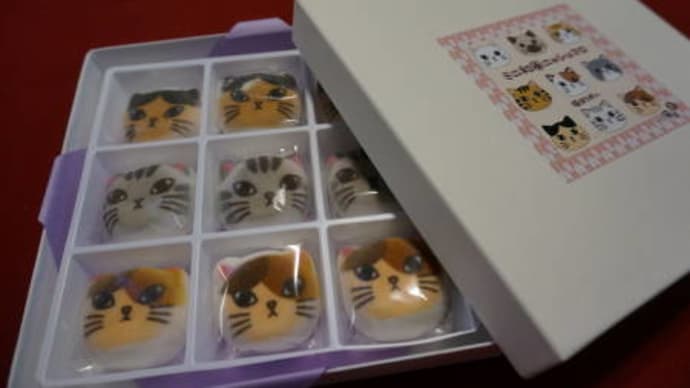 おやつ箱も猫の日スペシャル♪