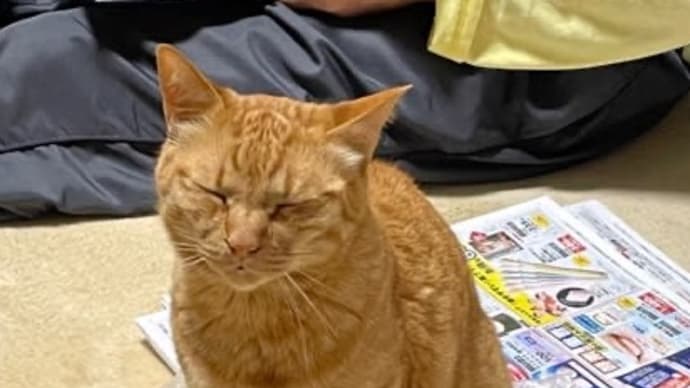 マーくんも胃腸炎