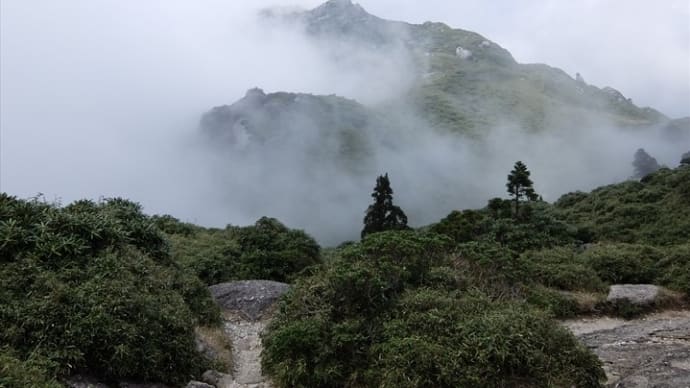 屋久島・宮之浦岳(6)