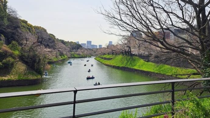 お花見と甘味“おかめ”