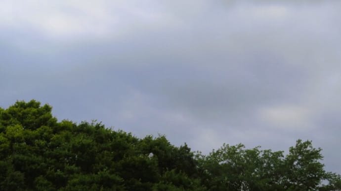 昨日の空と、YouTubeで見たインコちゃんのこと。
