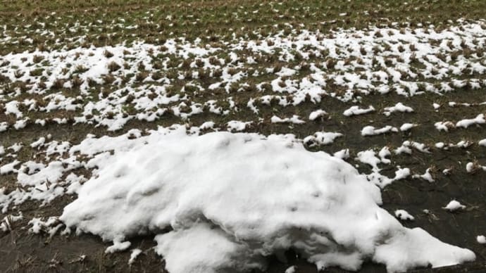 小雪が降ったり止んだり