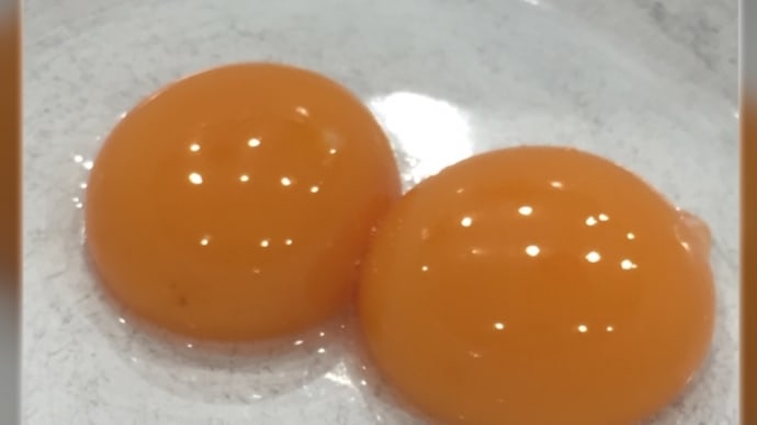 ツキイチ・タマゴの日