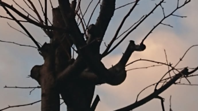 疲れたあ!