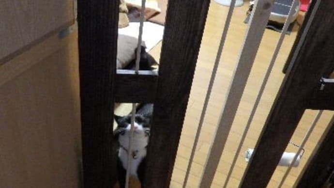 待ち姿が♡。