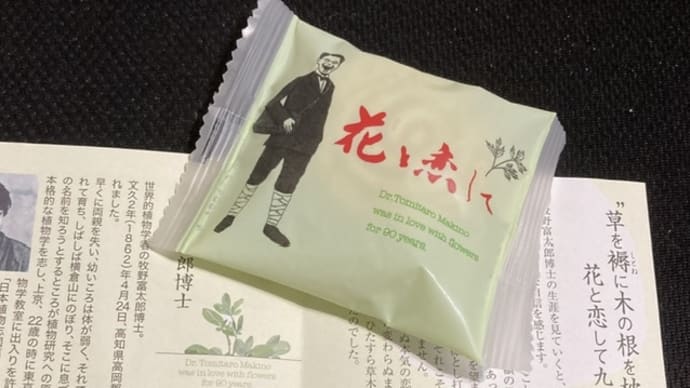 高知のお菓子 花と恋して