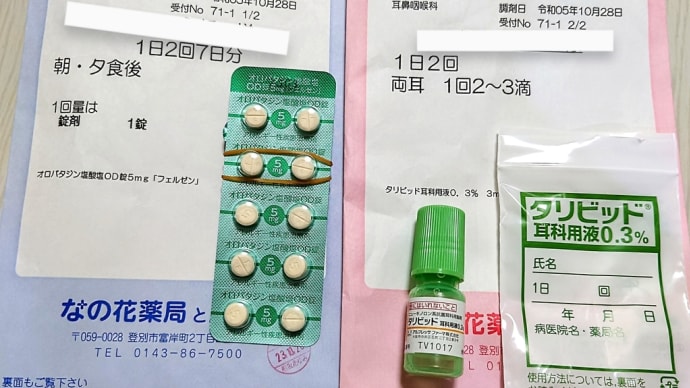 お耳のトラブル