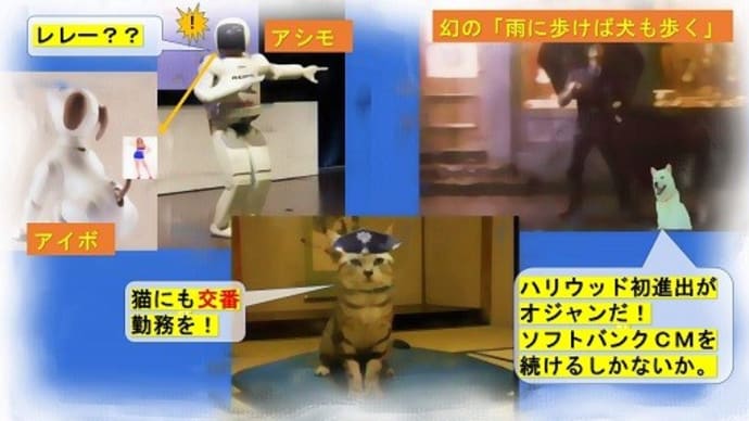 誤変換誤入力ことわざ辞典