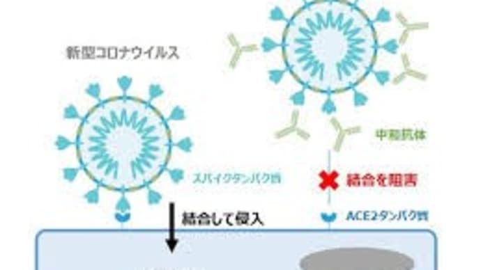ワクチンパスポートの乱の予感／フォーブスが治療薬・予防薬の報道とともにワクチンの問題を暴露／メドベッドでなにたくらんでるんだ？なぜ、人々をさっさと助けない？