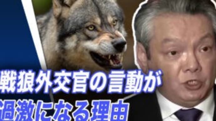 戦狼外交官の言動が過激になる理由【世界の十字路口】
