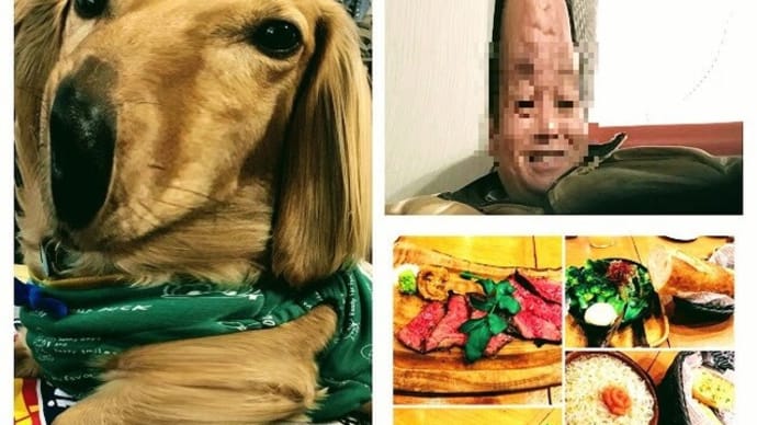 照ノ富士関