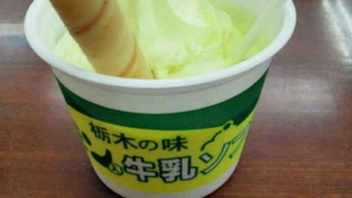 佐野SA(上り)のみで味わえる関東栃木レモンのソフト