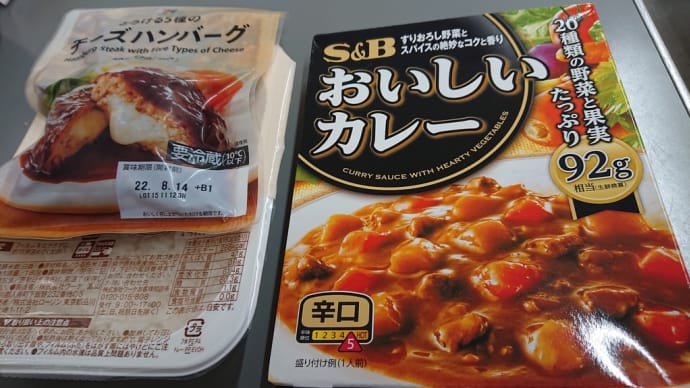 お昼ごはん🐱