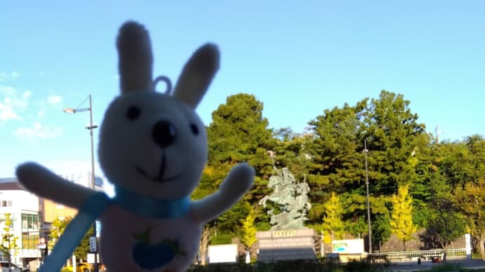 本日の運気☆