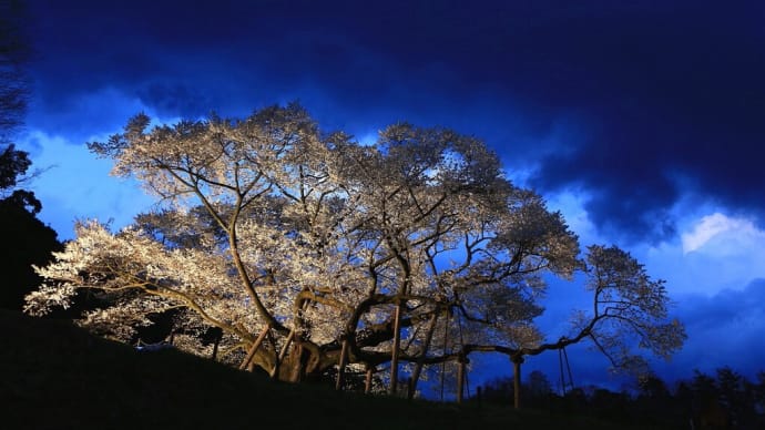 【 春の写展 】