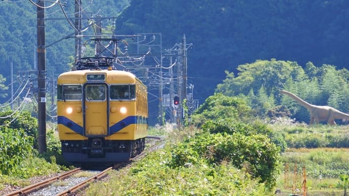 113系福知山色と丹波竜~福知山線・舞鶴線縦断ツアー臨時列車【1】
