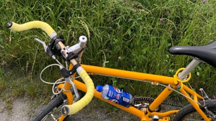 ミニベロ 5/26 川越自転車道 安比奈親水公園
