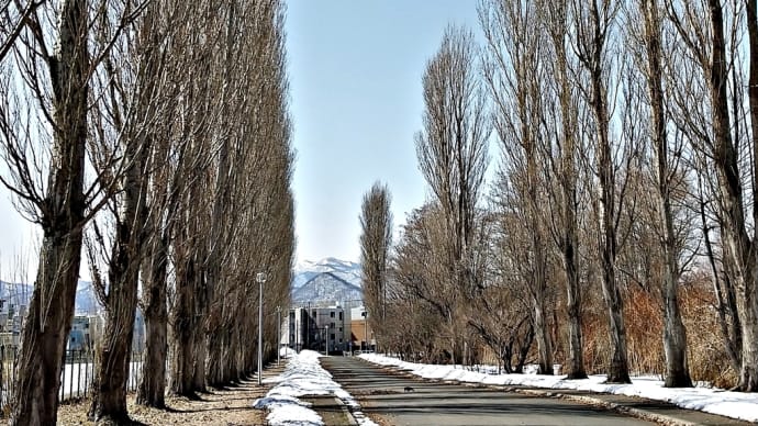 「北海道大学」散策(その2)&「清華亭」