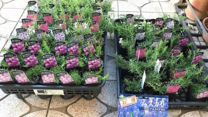 「びっくり箱」の公演で