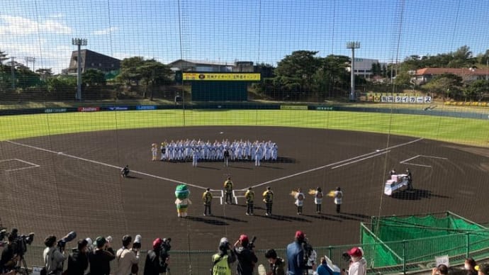 猛虎キャンプリポート2024【第1クール】(2024/02/01-04)