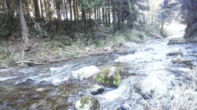 2月26日　那比川でアマゴ釣り！