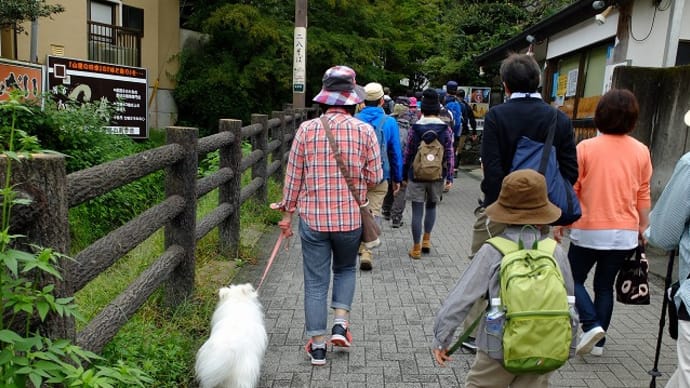 高尾山GO!