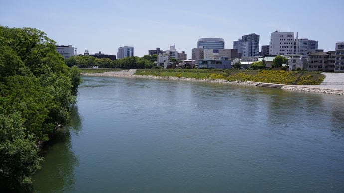 岡山へ(叔母に会いに)その3(後楽園から城下~柳川~田町)