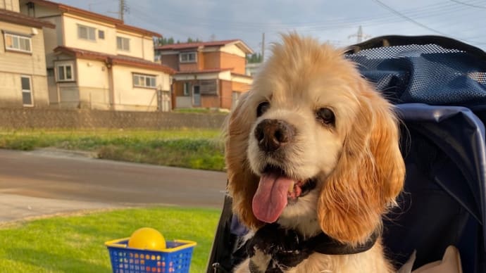 土曜日の夕方はみんなと一緒に楽しかったよ