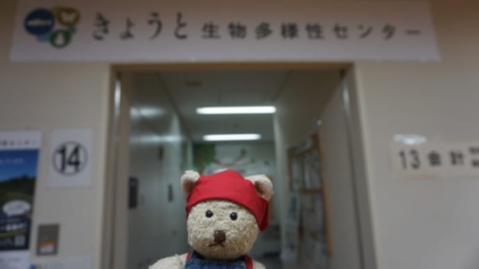 京都市左京区役所に開設された「きょうと生物多様性センター」の交流オフィス。京都に生息する生物を守る取り組み。
