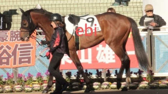 ハイチーズ