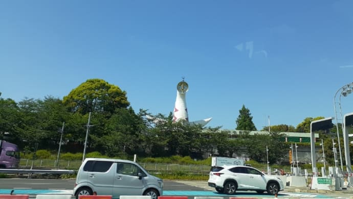 連休はマゴッチと