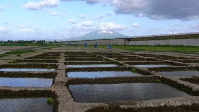 垂柳遺跡(青森県田舎館村)