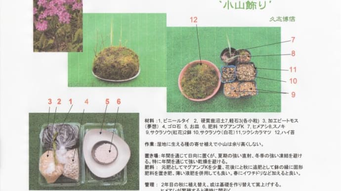 山野草園芸教室のご案内
