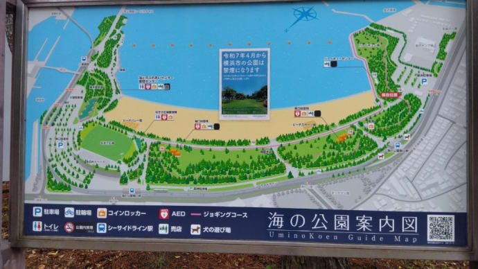 土曜日