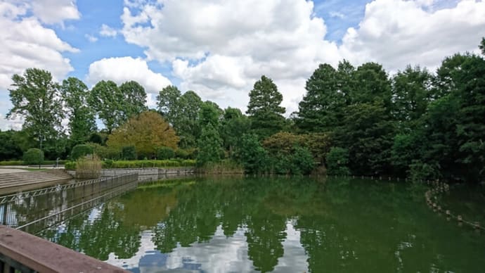 やっと元気が出てきました。