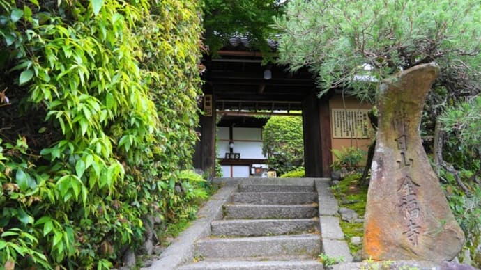 京都　青モミジ100シリーズの松尾芭蕉の金福寺