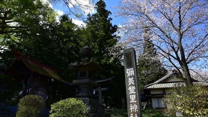 彌美登里神社（みみとり）の枝垂れ桜