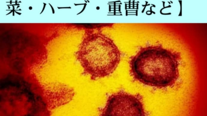 ウイルスは【空気感染】する!風があれば新型ウイルスもインフルも飛ぶでしょう!小さい【生物兵器】でしょう!新型コロナはすでに世界中に蔓延している!恐れるより免疫力を高めるのが最強の防御法!主役【卵】