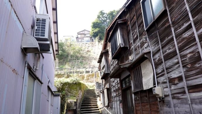 散歩写真 1194