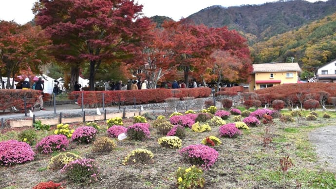 もみじ狩り 山梨県南都留郡富士河口湖町 第25回富士河口湖町紅葉まつり(7)河口湖木ノ花美術館~もみじ街道~もみじ回廊