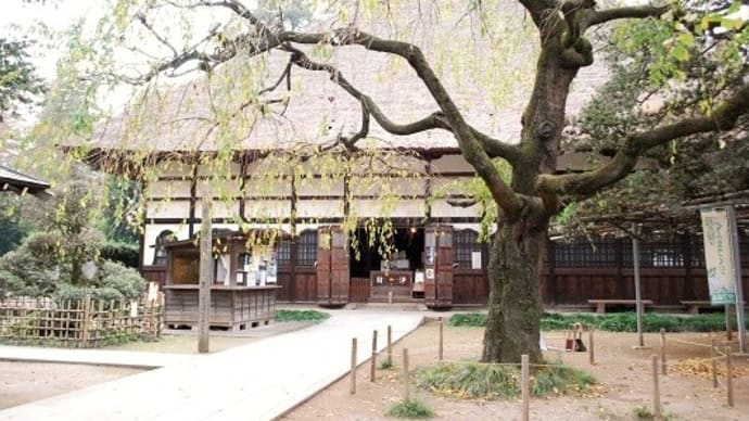 #5522 茂林寺