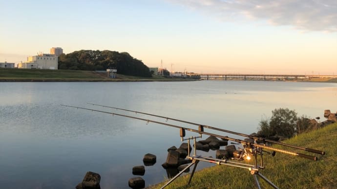 11月5日の鯉釣り