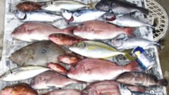 釣果