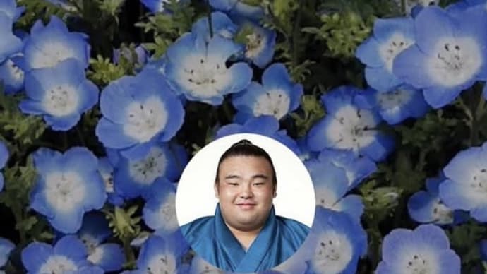 わたしの アイコン貴景勝 なのに😭
