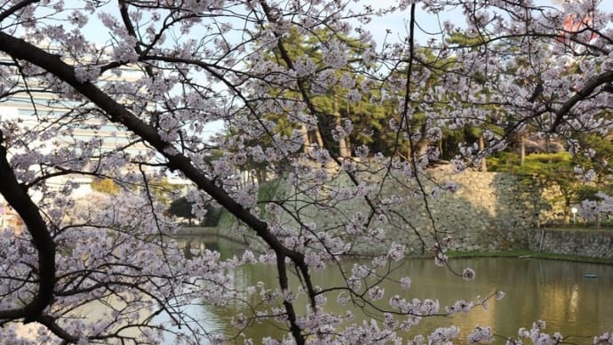津ぅ（５）お堀の桜