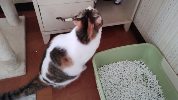 決断できない苦しみ