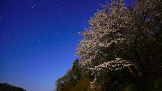 月明かりの夜に(東由利と八塩ダム付近)