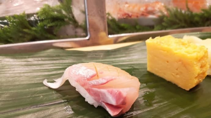 湾岸(15)寿司処やまざき:菊 その1