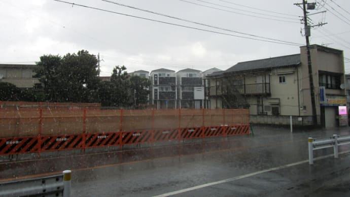 08月09日 不安定なお天気。